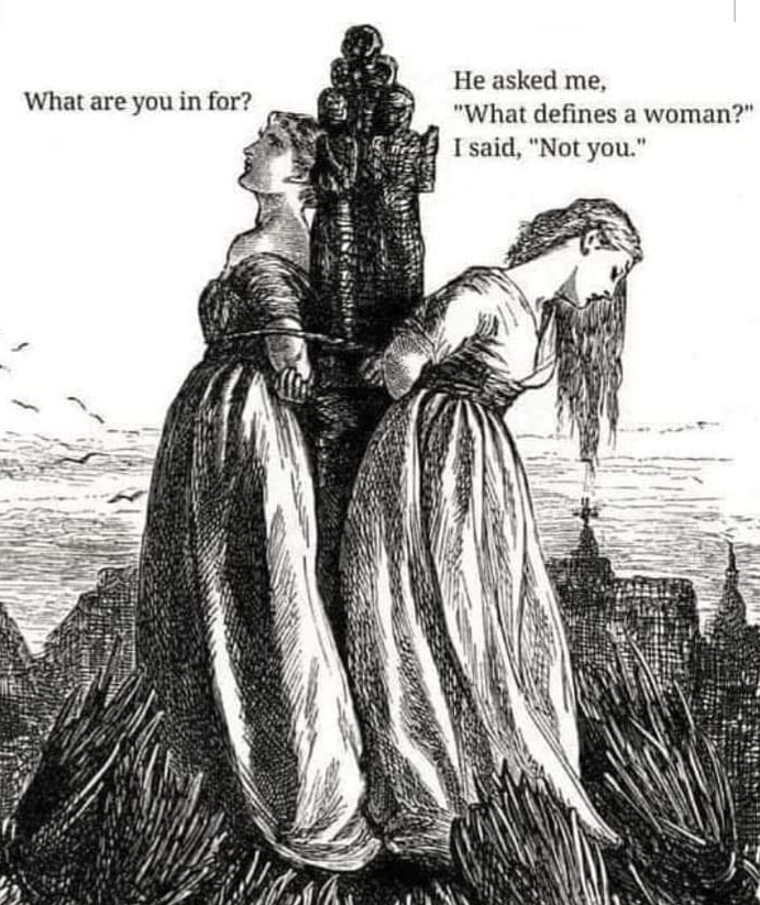 SWERF / TERF TO WSPÓŁCZESNA CZAROWNICA, to bluźnierczyni, którą woke chce spalić na&nbsp;stosie.